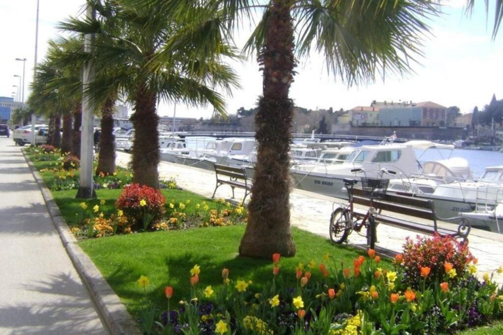 Hygge Zadar Apartment Zewnętrze zdjęcie